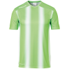 STRIPE 2.0 TRIKOT KURZARM green UHLSPORT