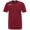 STREAM 3.0 Camiseta MC burdeos/celeste UHLSPORT